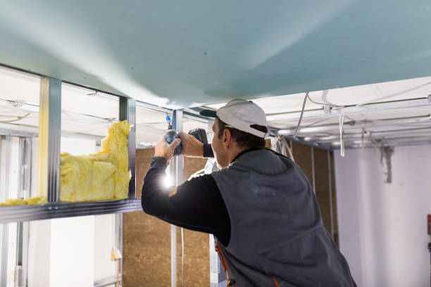 Best Insulation Air Sealing  in Morris Plains, NJ