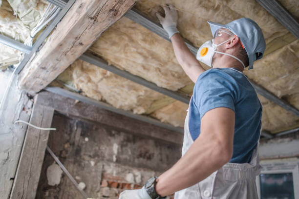 Best Insulation Air Sealing  in Morris Plains, NJ